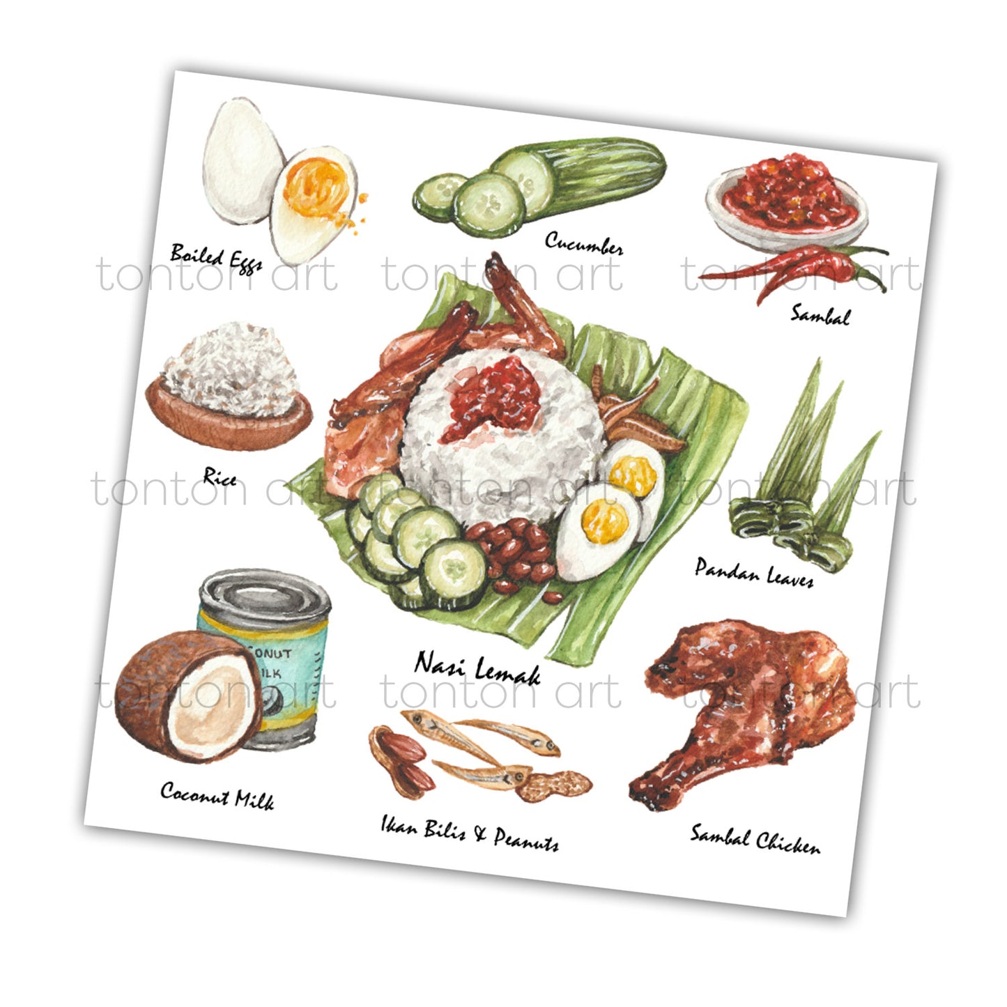 Nasi Lemak Recipe Art Print